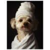 Perro con toalla y albornoz, estilo de fotografía artística, fondo negro, enfoque en la cara del perro, estilo de retrato.
