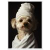 Perro con toalla enrollada en cabeza, foto profesional en estudio.