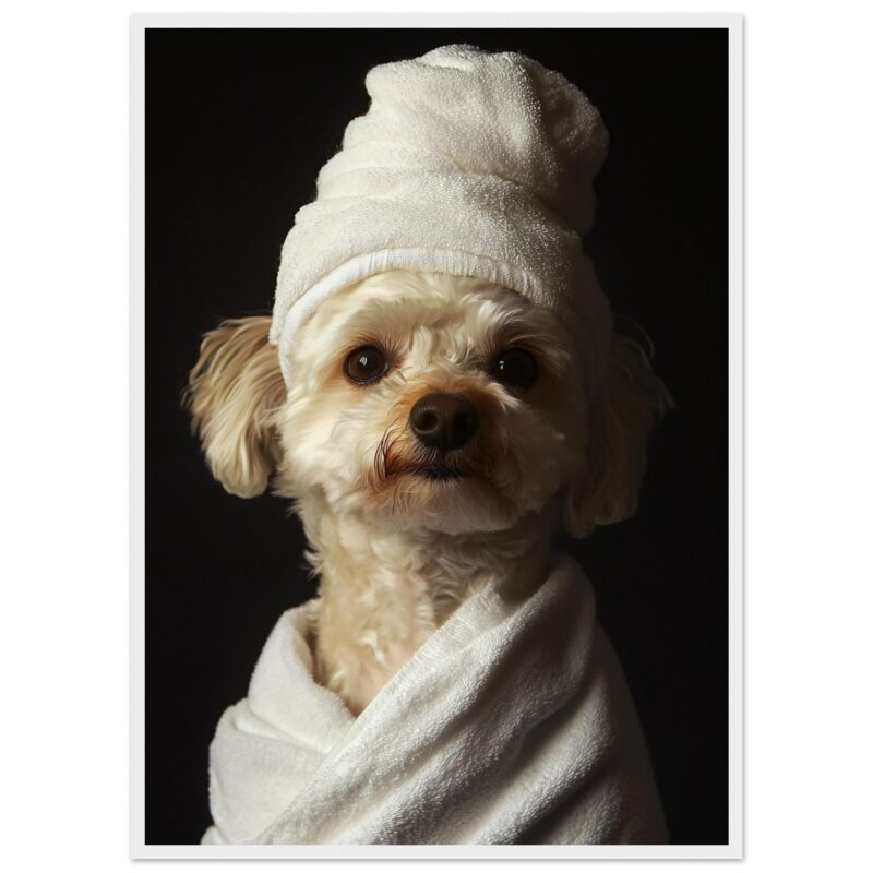 Perro con toalla enrollada en cabeza, foto profesional en estudio.