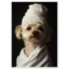 Perro con toalla en la cabeza, cuidado y spa para mascotas, servicio profesional.