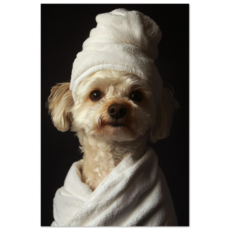 Bañera curada con toallas y un perro con una toalla blanca en la cabeza y un vestido blanco de spa.