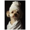 Perro con toalla y bata en estudio fotográfico, mascotas, momentos de cuidado y ternura.