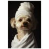 Perro con toalla en la cabeza y bata, estilo de fotografía artística para branding, mascotas, peluquería canina y anuncios publicitarios.