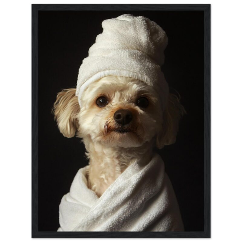 Perro con toalla y ducha, fotografía de mascotas, retrato de animales domesticados.