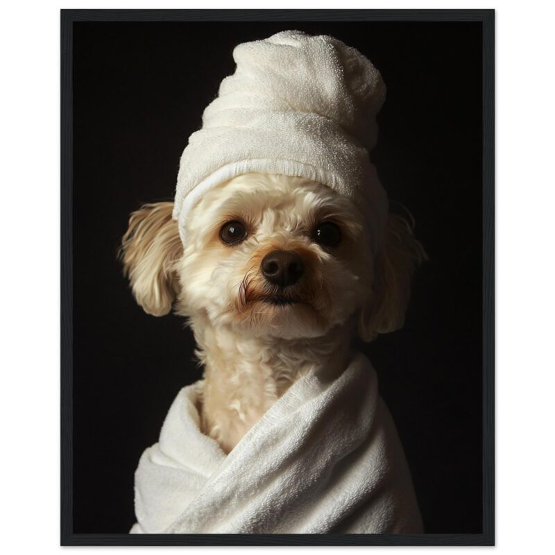 Perro con toalla y gorro de baño, mascota adorable, servicio de cuidado de mascotas, fotos profesionales de animales.