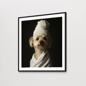 Posters de Animales