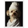 Perro con toalla blanca, cuidado y estilo, en un retrato profesional, para servicios de fotografía y mascotas.