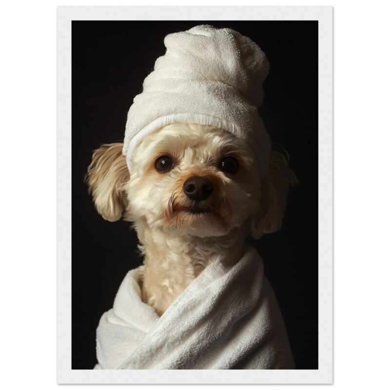 Perro con toalla blanca, cuidado y estilo, en un retrato profesional, para servicios de fotografía y mascotas.
