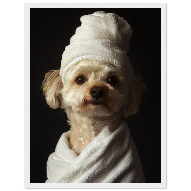 Blanco perro con toalla de ducha, estilo de retrato, mascotas, cuidado, tocador, ambiente doméstico, estilo realista, fotografía artística, ilustración digital.